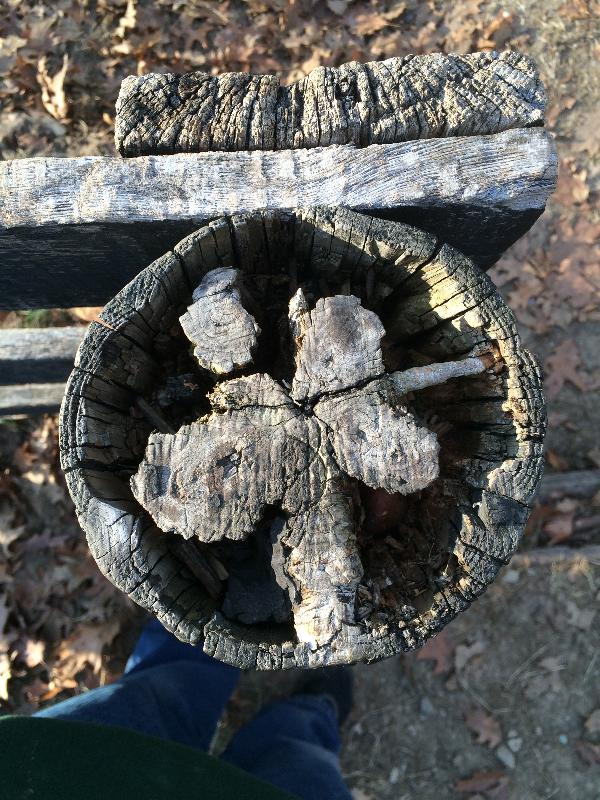 It is Winter Camp Universe Policy to not label pictures in our galleries