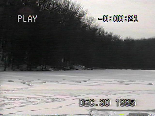 Bleak Future for the World